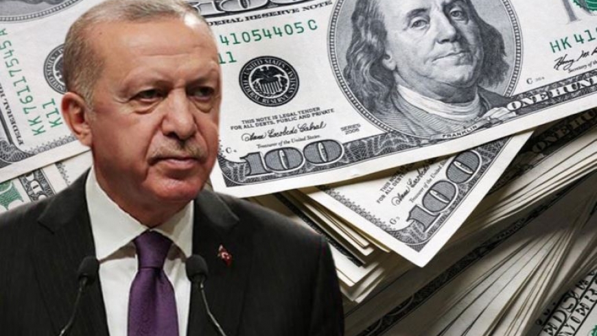 ملاحقة اقتصاديين فى تركيا بسبب تغريدات عن الليرة